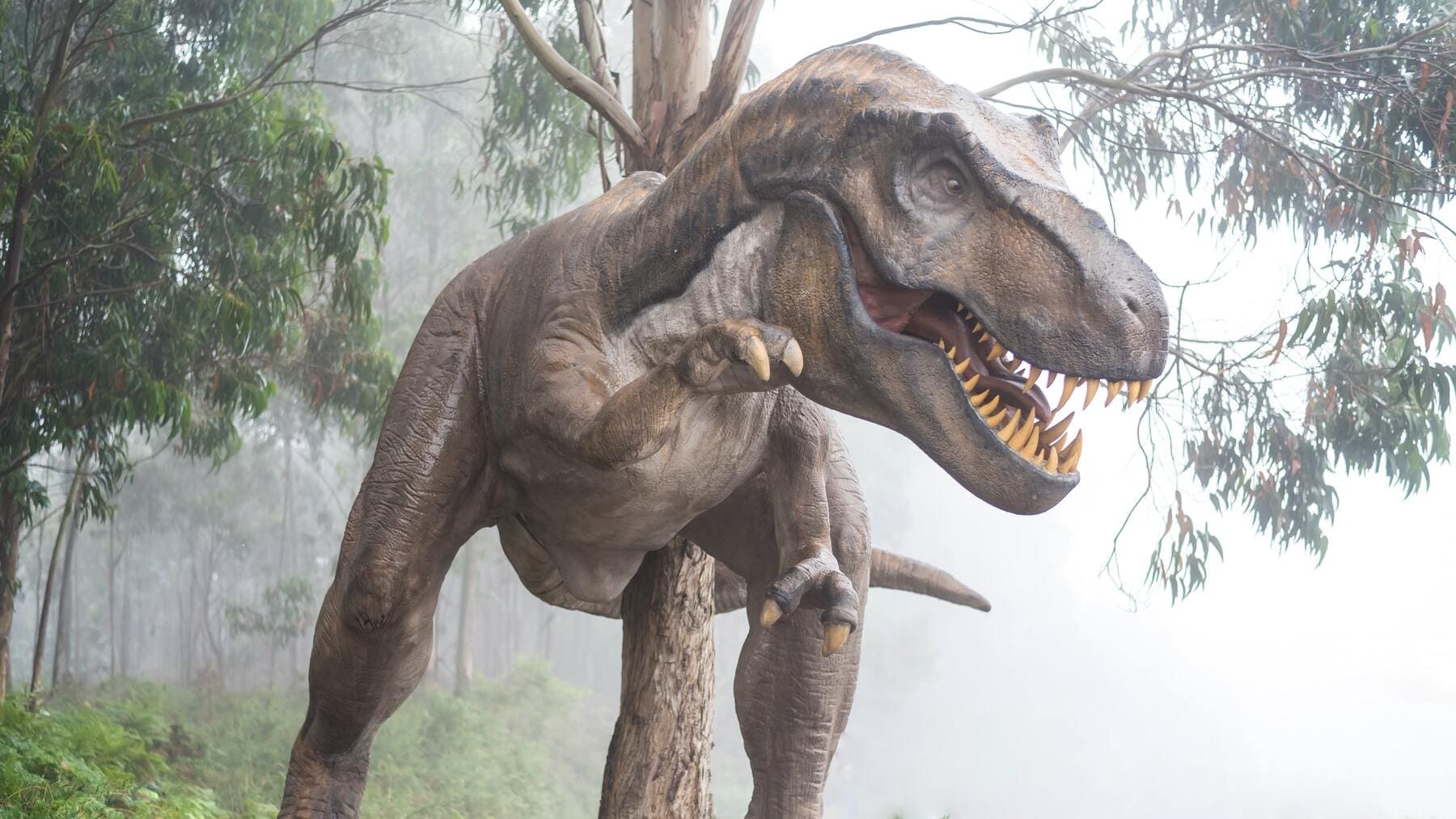 Dónde donde encontraron el primer fósil de dinosaurio?