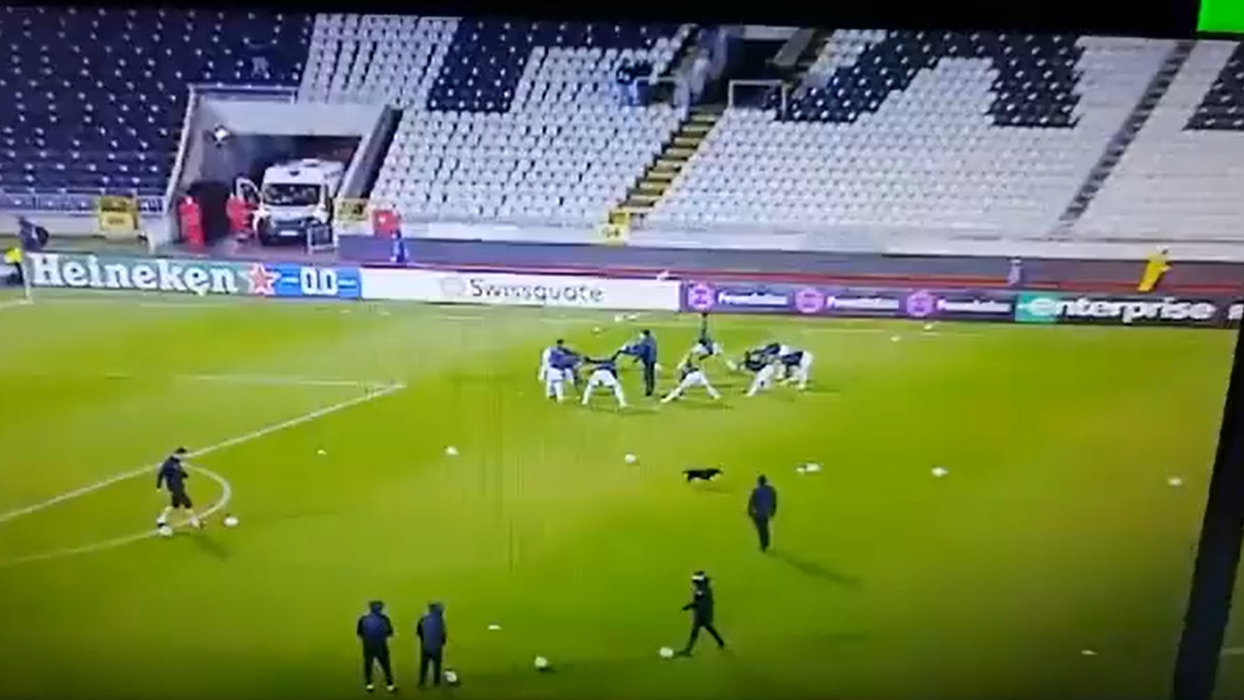 Lo más viral y lo nunca visto: un perro se planta en mitad del terreno de juego y pasa esto