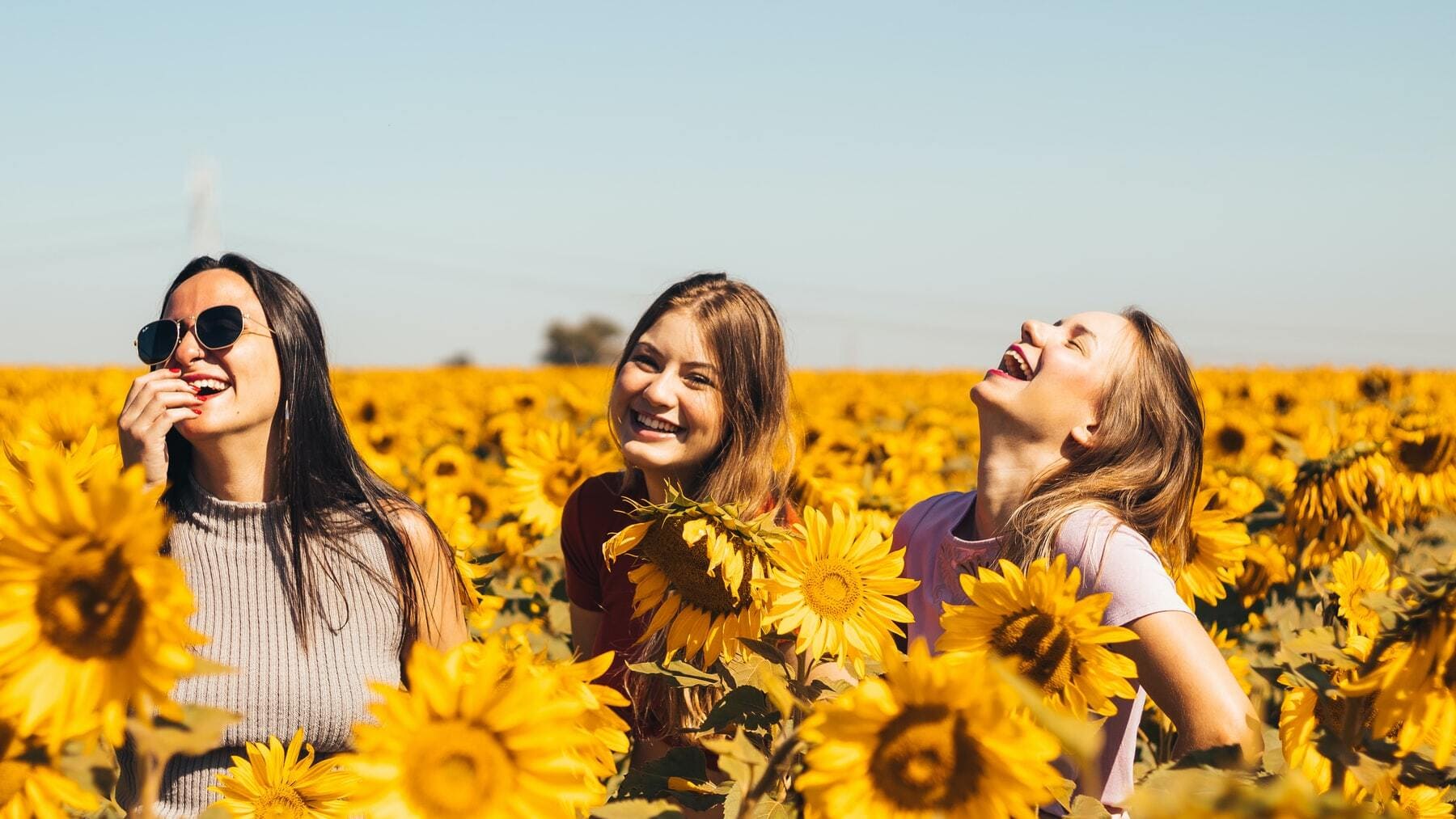 Las 20 Mejores Frases De Felicidad Y Alegr a Las 20 Mejores Frases De Felicidad Y Alegr a