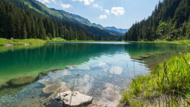 diferencia lago y estanque