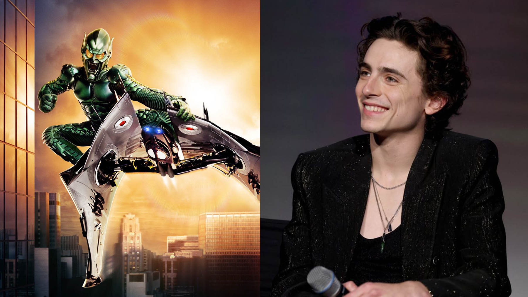 ¿Timothée Chalamet como el nuevo duende verde?