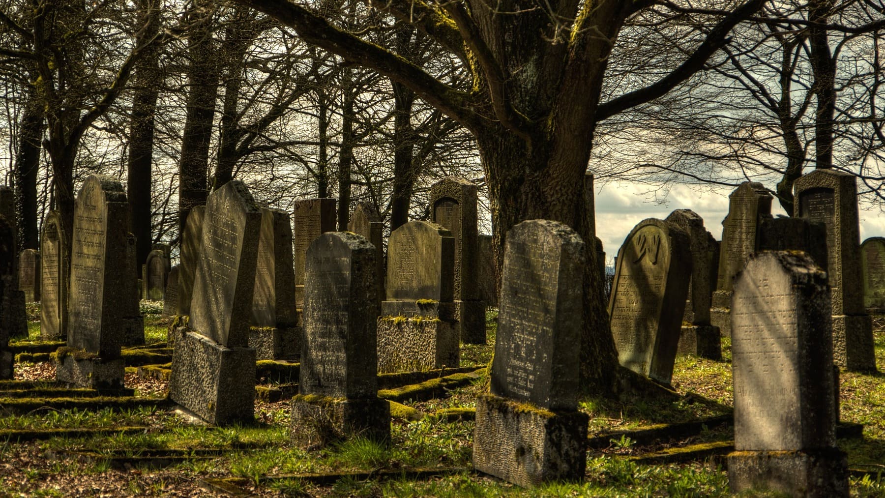 vida después de la muerte