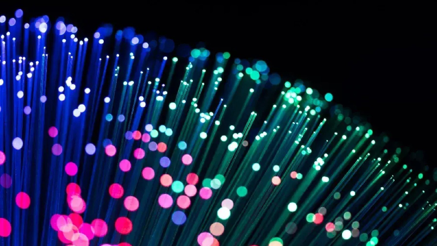 Imagen en detalle de un cable de fibra óptica.