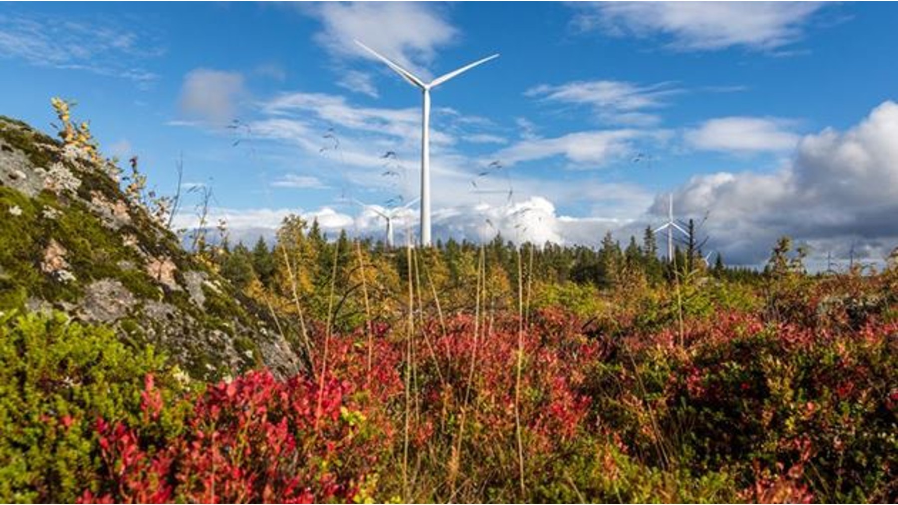 Siemens Gamesa