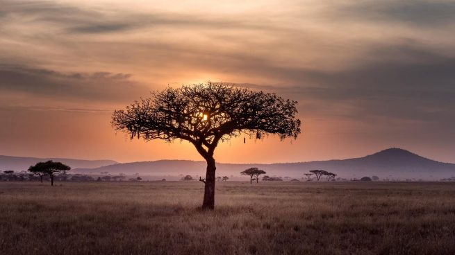 Países para hacer un viaje a África en 2022