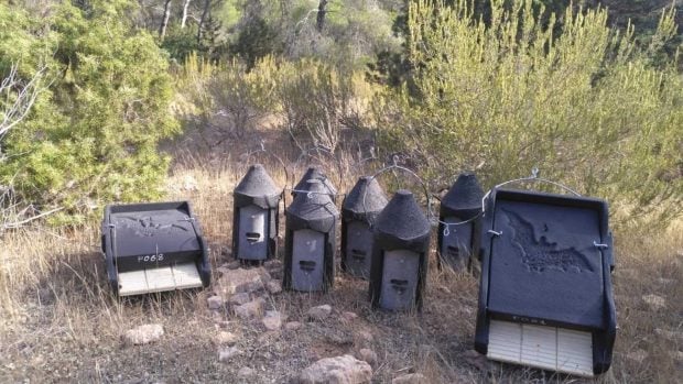 Cajas para murciélagos instaladas por el Govern baear.