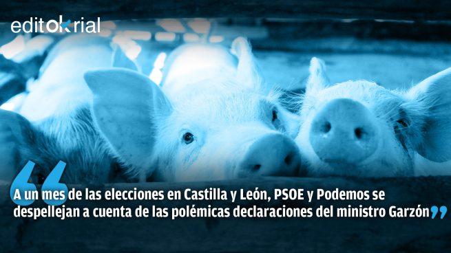 Para macrogranja sin controles, el Consejo de Ministros