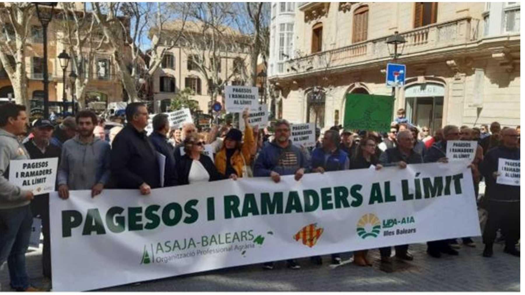Una manifestación en Palma de ganaderos y agricultores de Baleares.