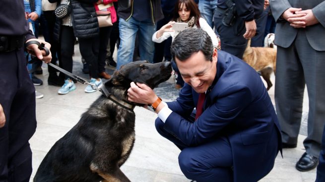 El presidente de la Junta de Andalucía, Juanma Moreno, saluda a un perro policía (ÁLEX CÁMARA / EUROPA PRESS).