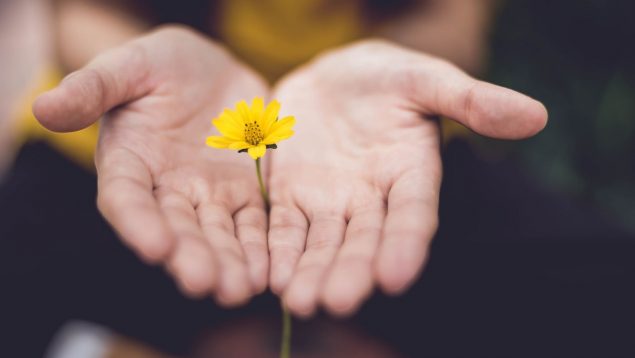 Las 15 mejores frases sobre la generosidad