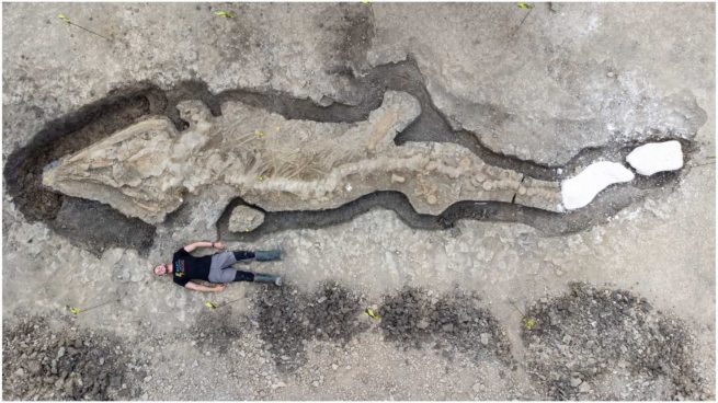 Fósiles de dragón marino