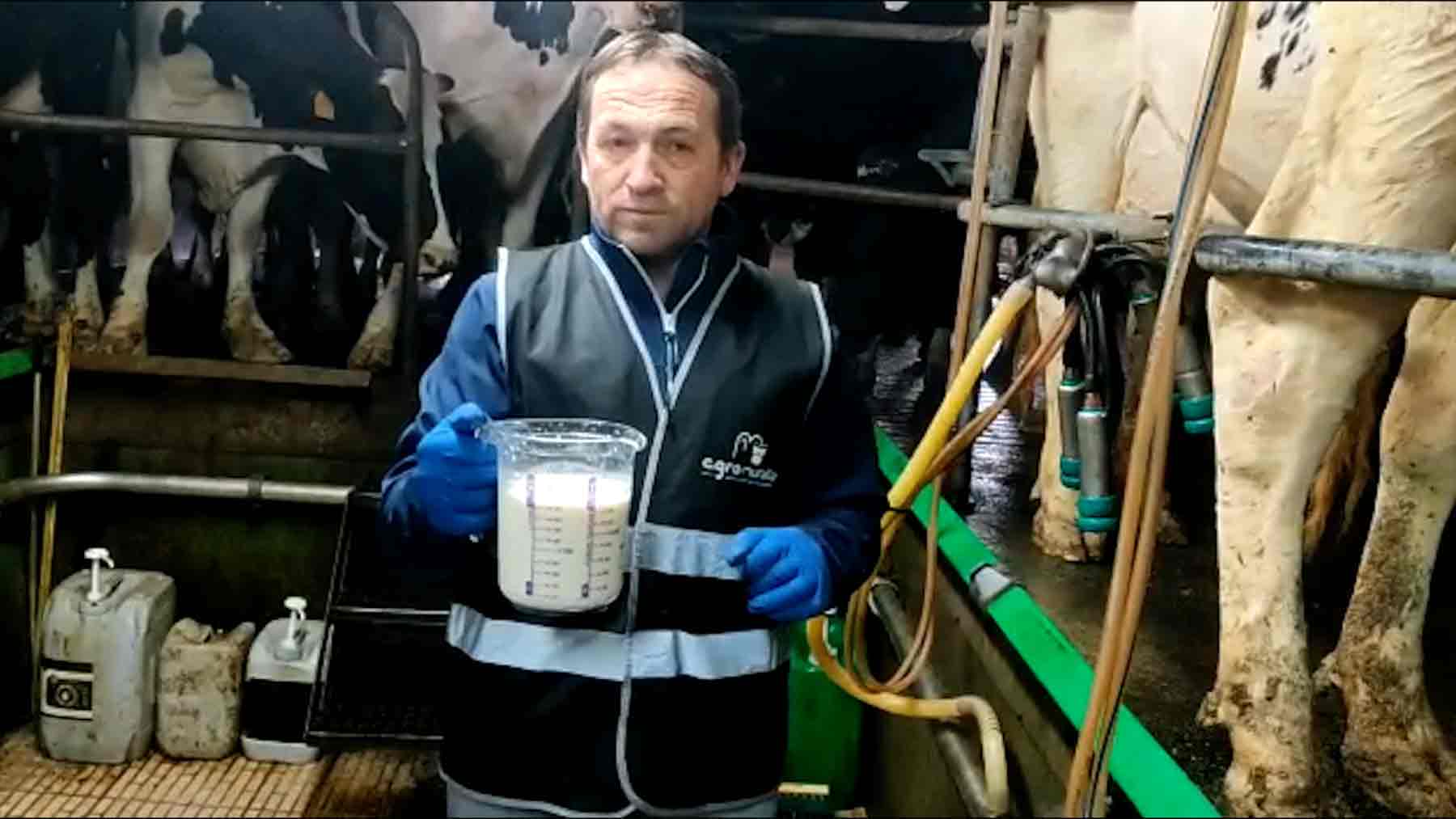 Antonio, ganadero: “Es inasumible, me pagan 34 céntimos por un litro de leche que me cuesta 40”