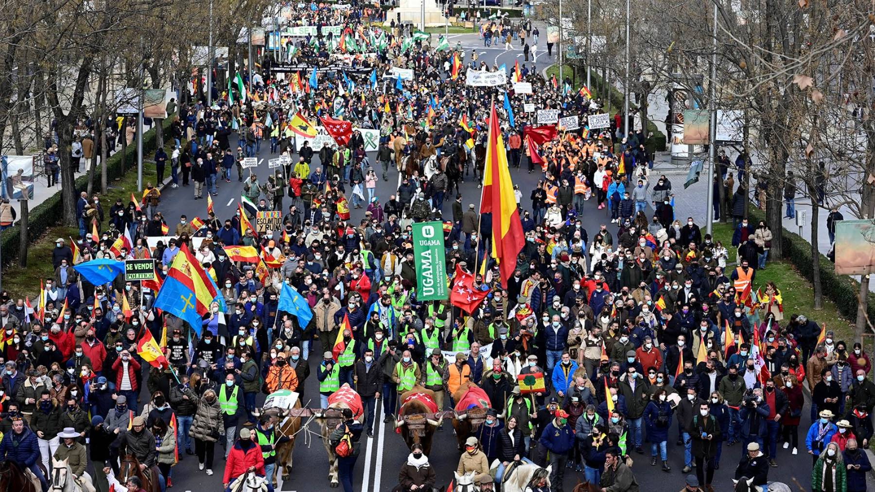 Manifestación