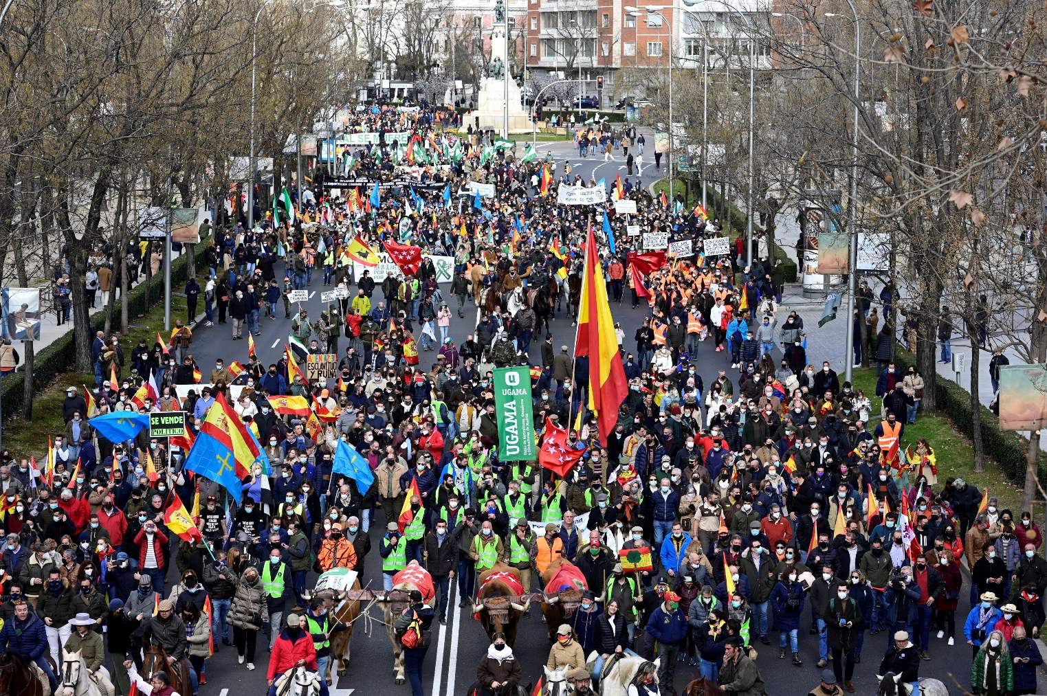 Protesta de agricultores y ganaderos, domingo, en Madrid.