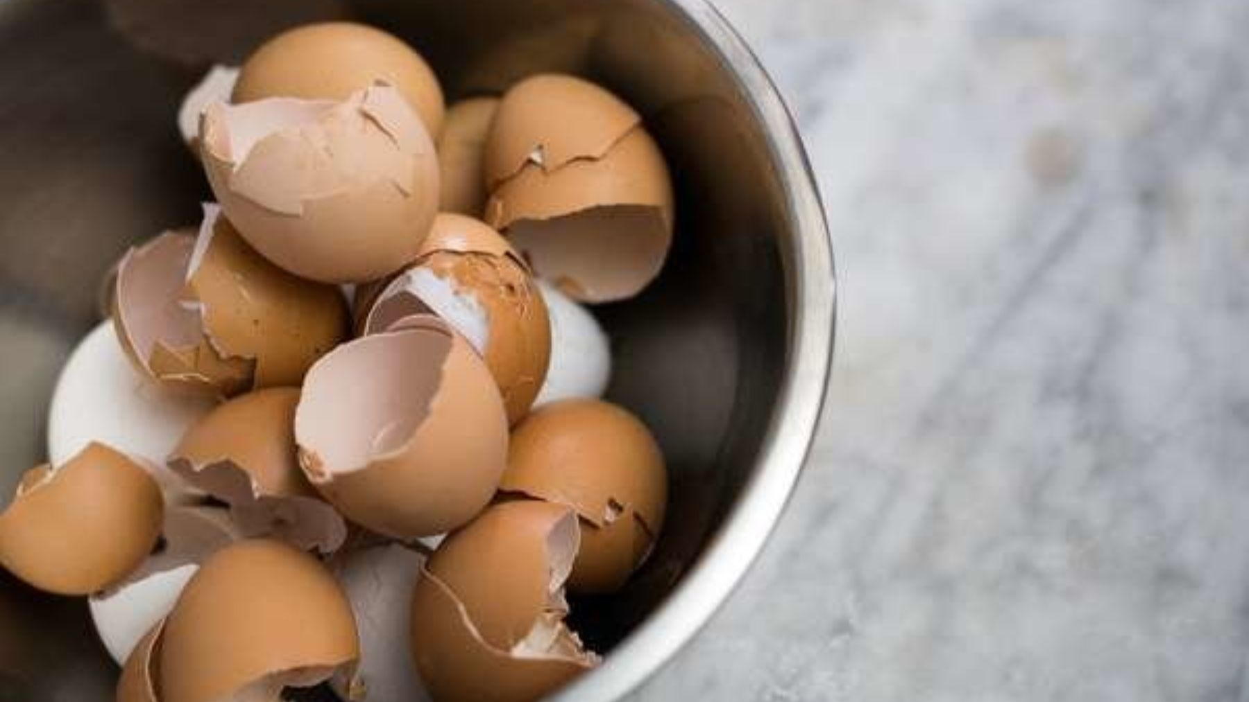 Las razones por las que debes reutilizar las cáscaras de huevo