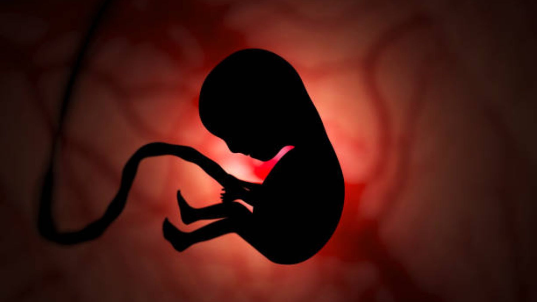 Descubre qué es y cómo tratar la placenta acreta