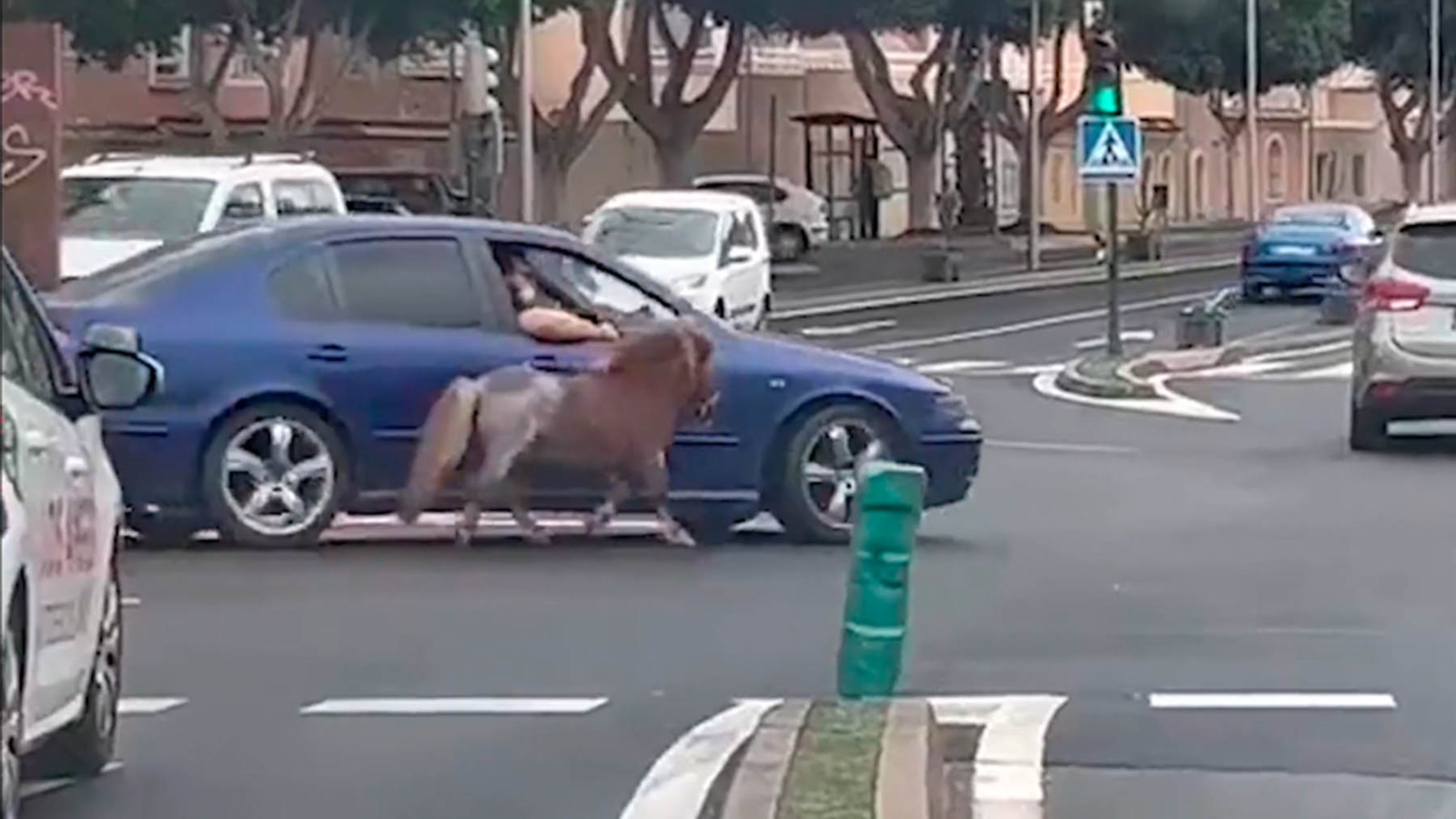 pony Almería