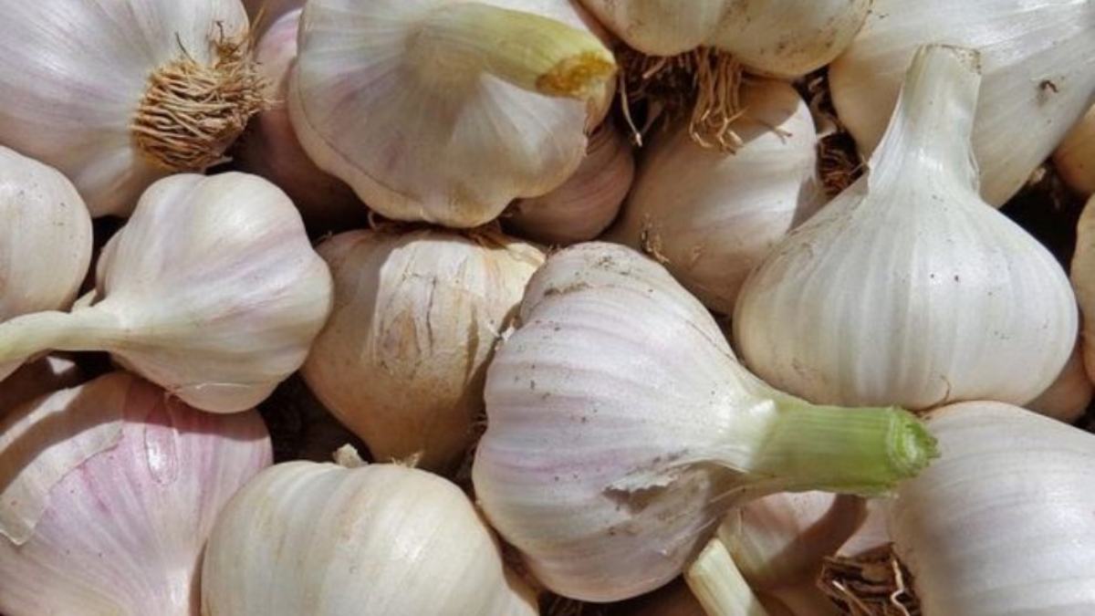 Estos son los nutrientes para mantener las defensas en febrero