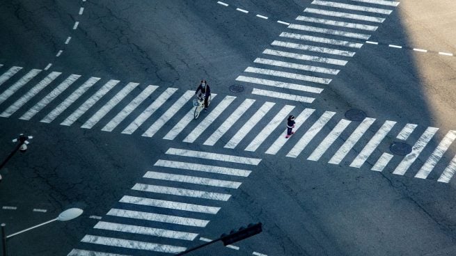 Por qué se llaman pasos de cebra y por qué son blancos