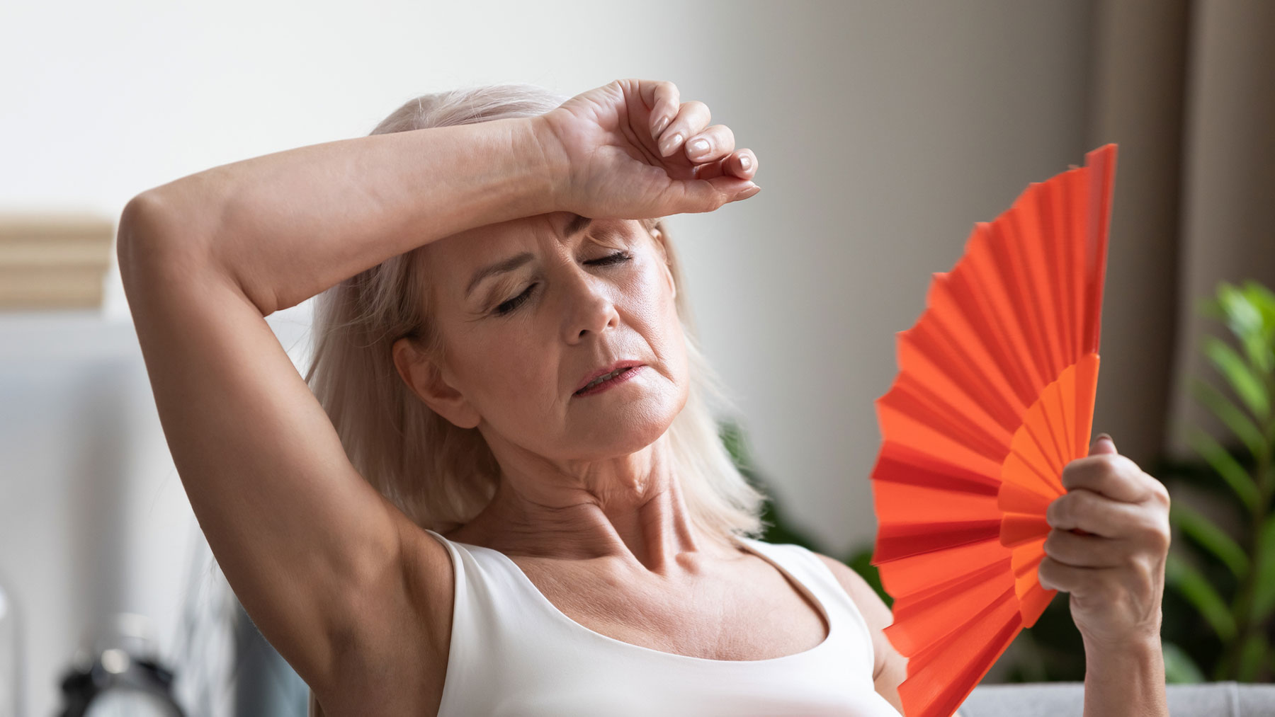La menopausia, cierra nuestra etapa fértil y nos adentra, en lo que clásicamente llamaban la senectud.