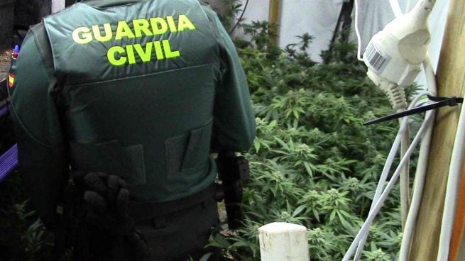 guardia civil marihuana