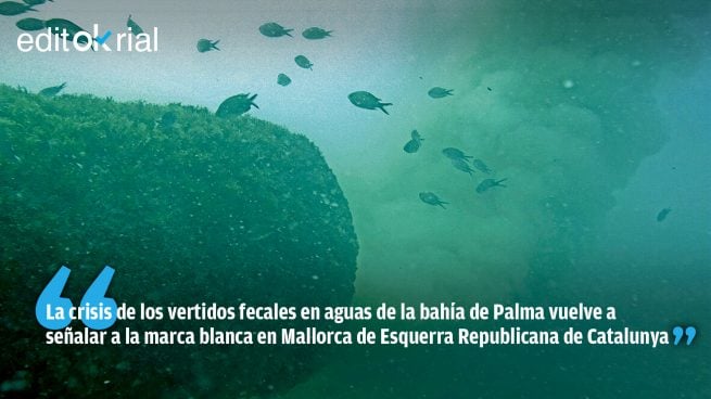 El ecologismo postizo de Més