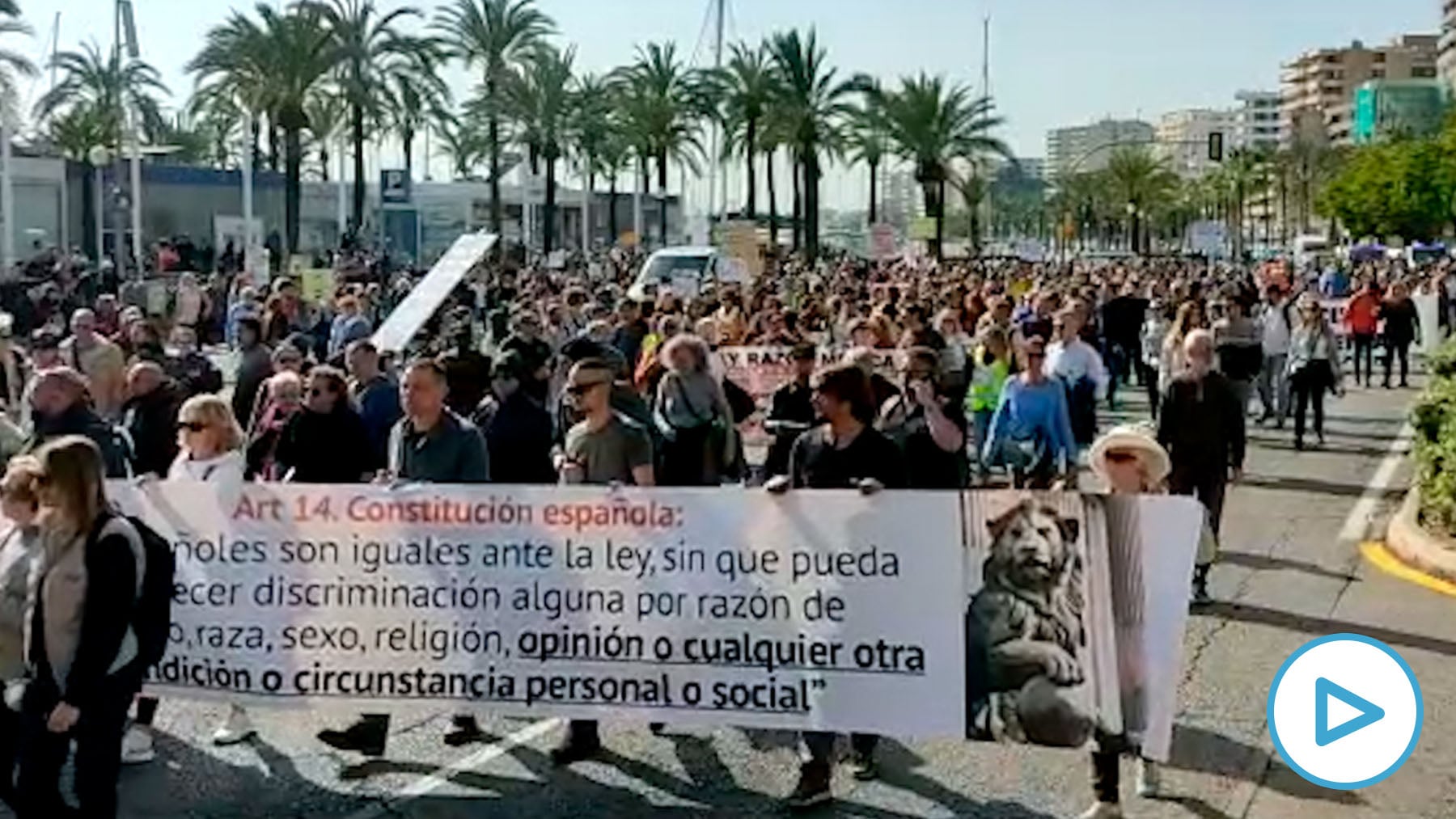 Más de 4.000 personas protestan en Palma por la gestión política de la ...