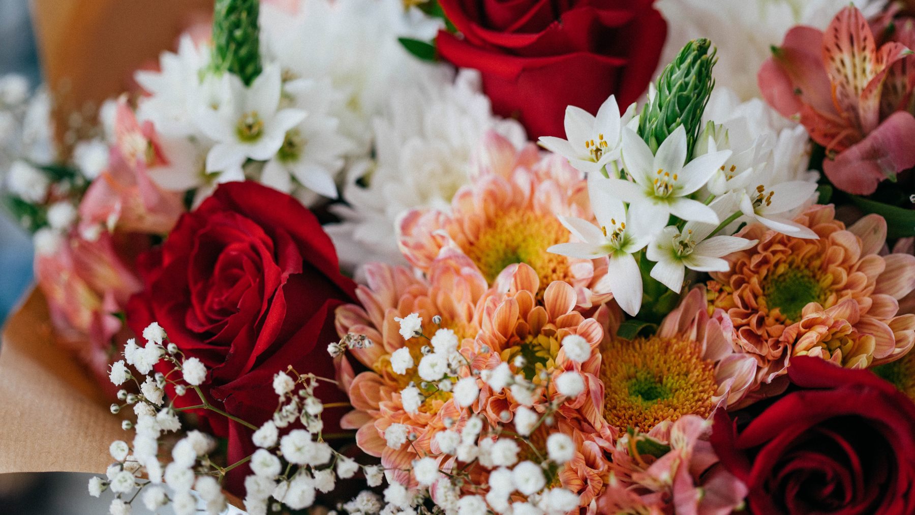 ¿Qué tipo de flores se regala en San Valentín? Estas son las mejores