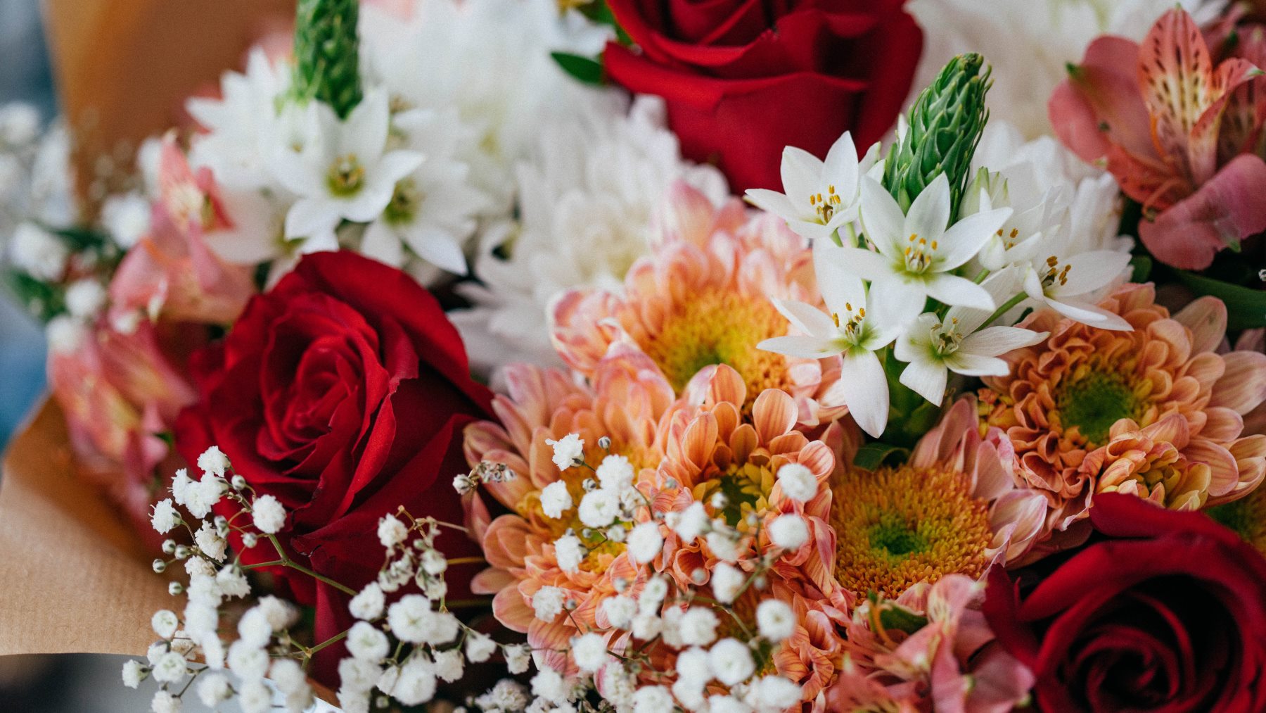 Las Mejores Flores Para Regalar En San Valent n