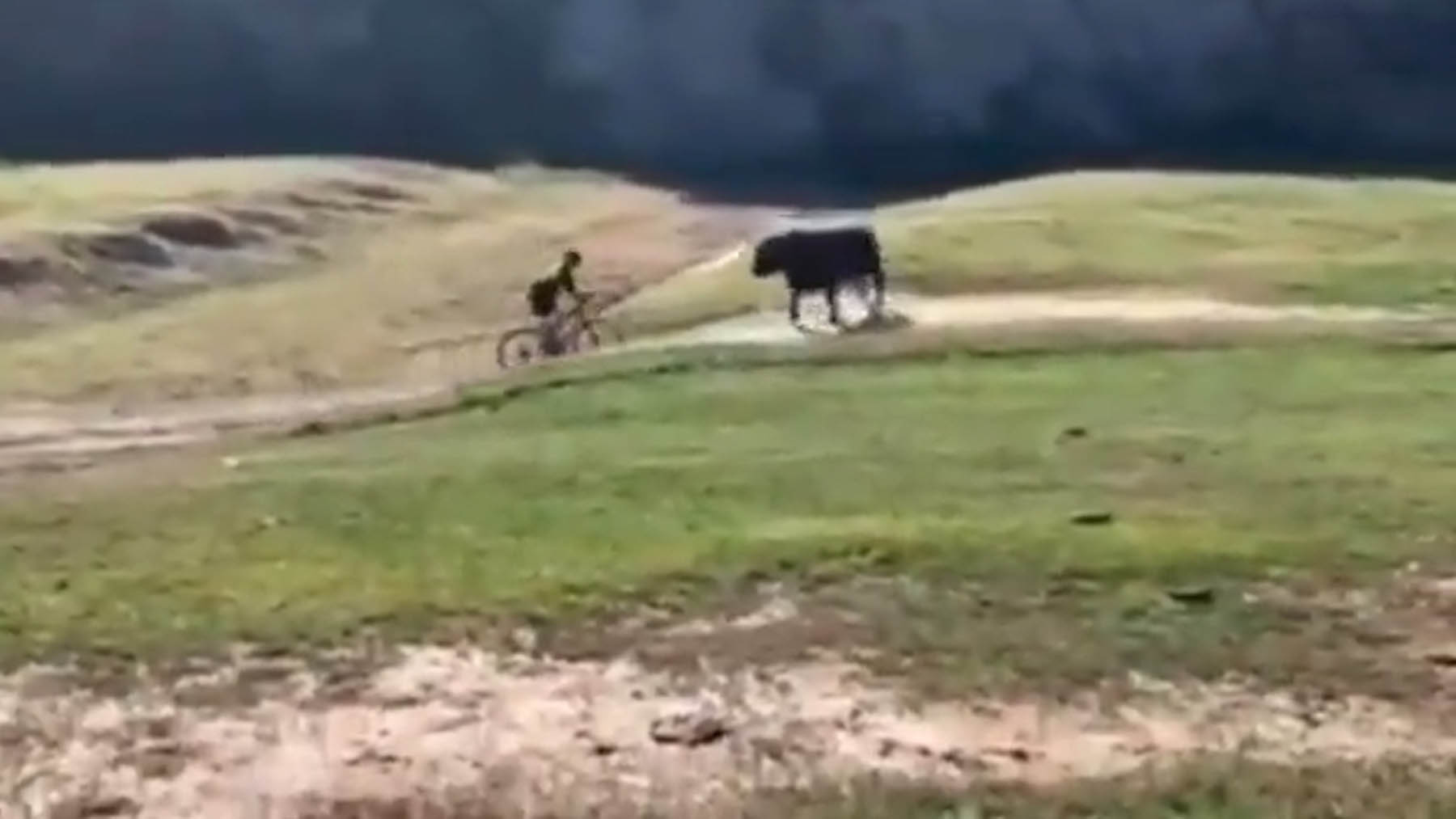 Tan escalofriante como viral: la brutal embestida de un toro a un ciclista en la montaña