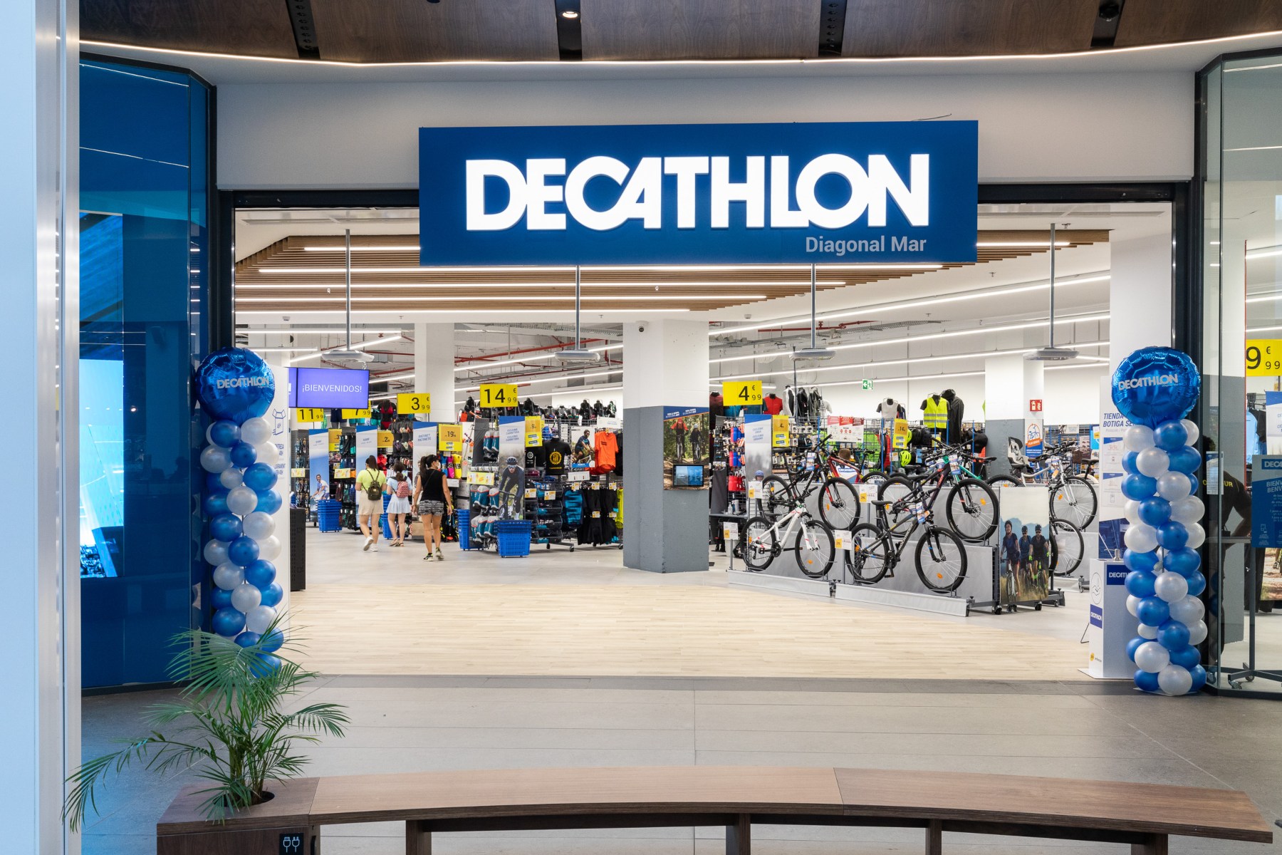 Decathlon Examples At Sara Sheridan Blog Decathlon Examples At Sara Sheridan Blog