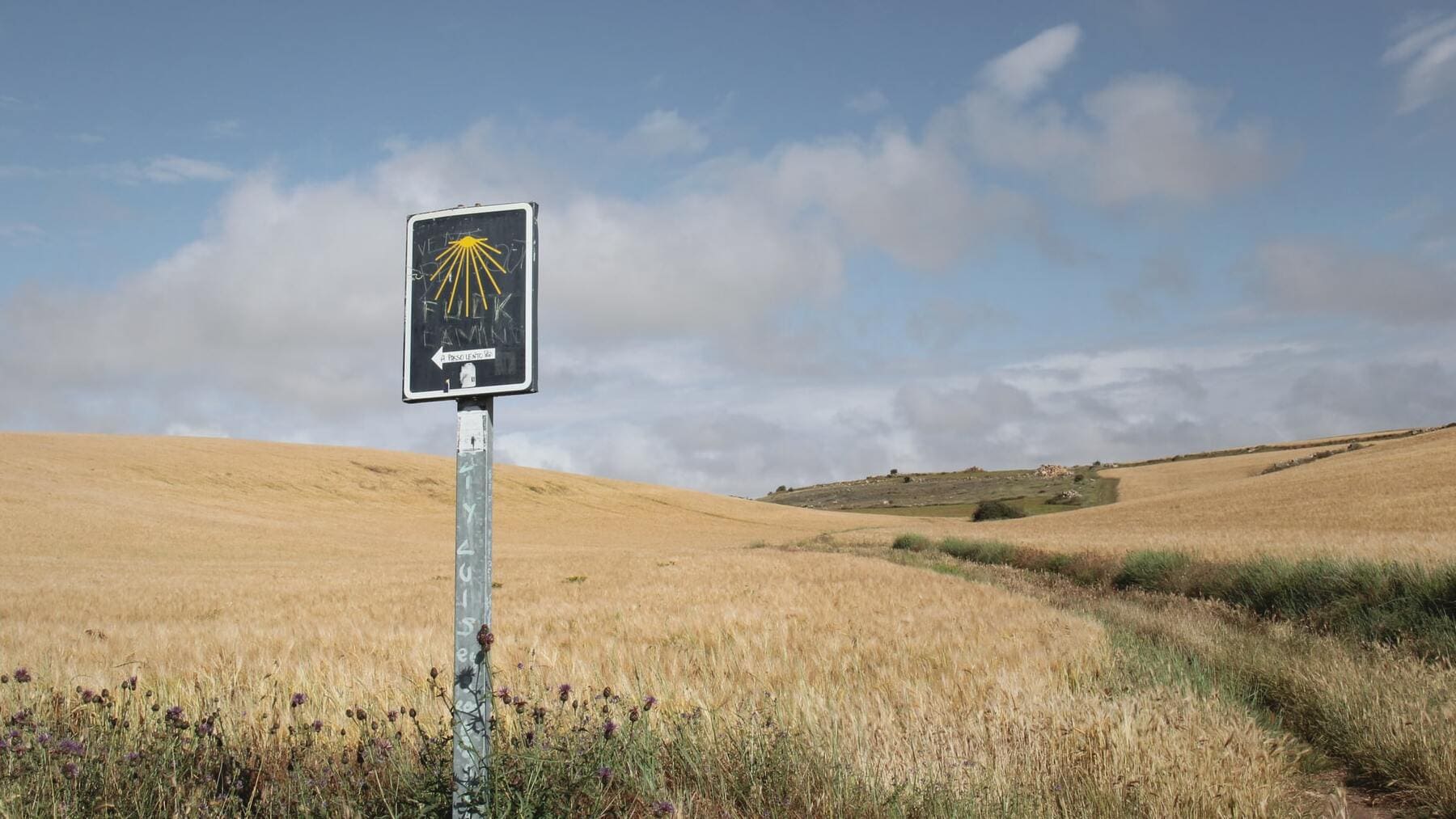 Camino de Santiago