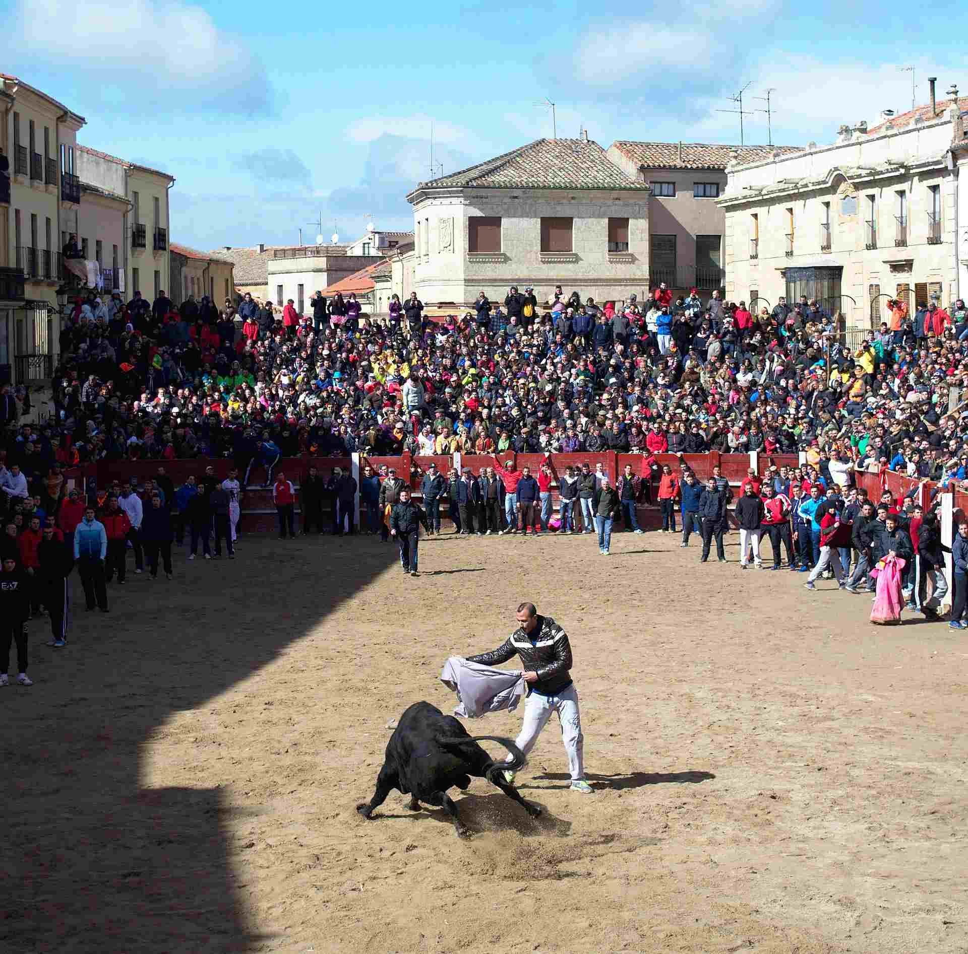 Carnaval del Toro en Ciudad Rodrigo: fecha y encierros