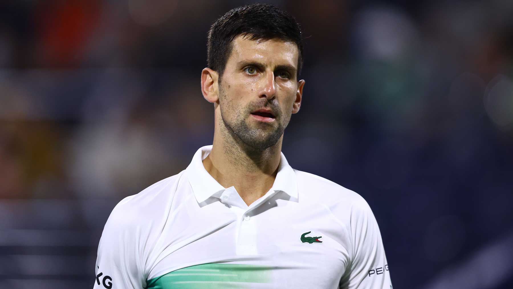 Novak Djokovic. (Getty)