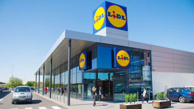 Lidl jardín