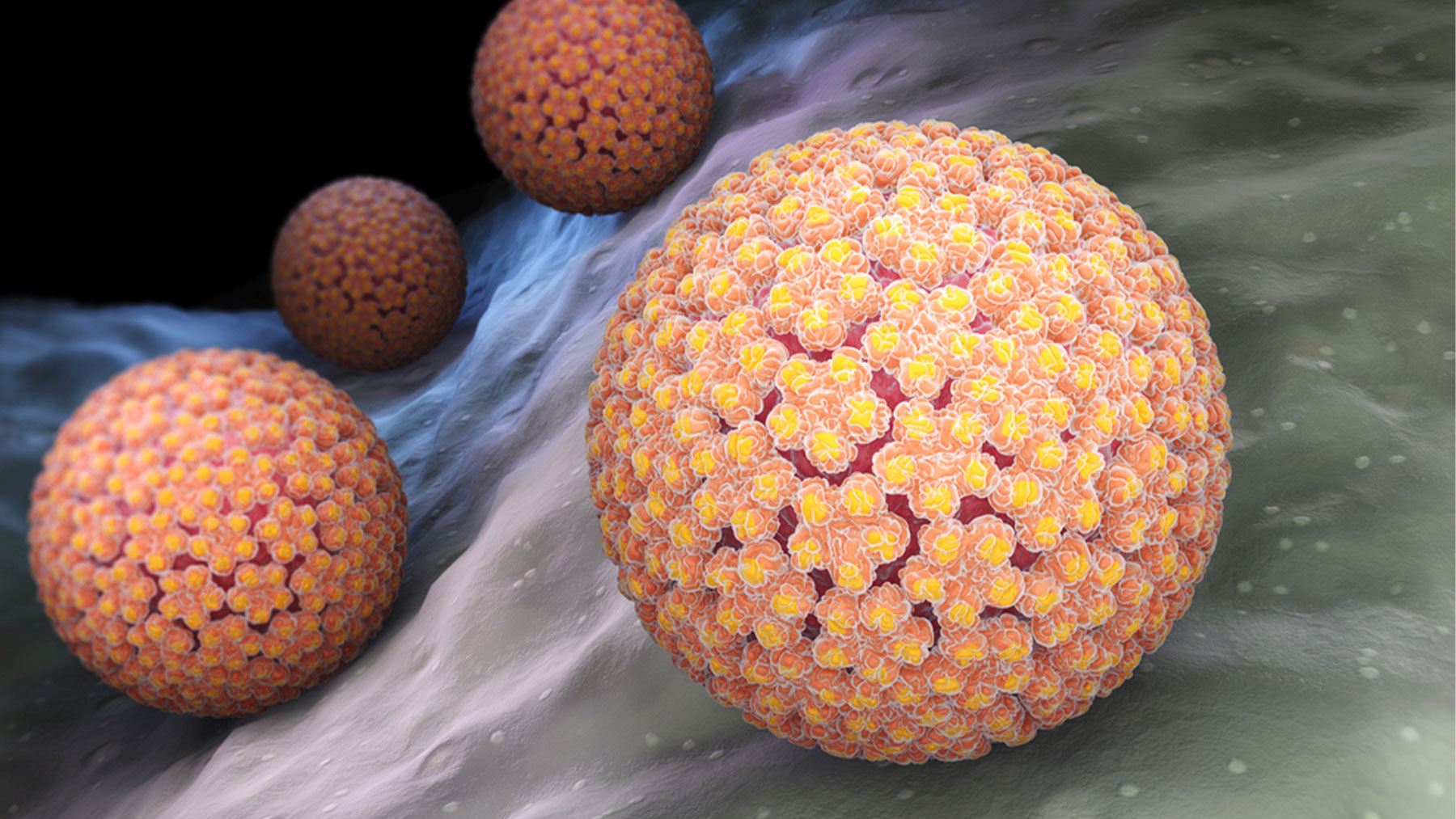 Se estima que hay 660 millones de personas infectadas por el VPH en el mundo.