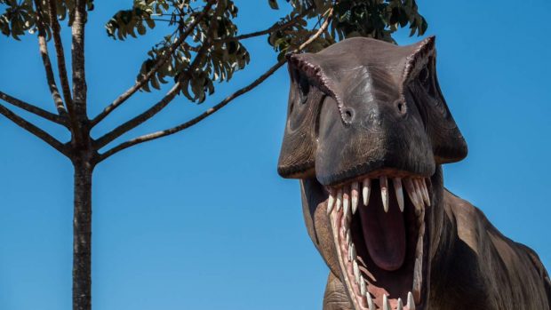Nuevo fósil de un dinosaurio sin brazos descubierto en Argentina