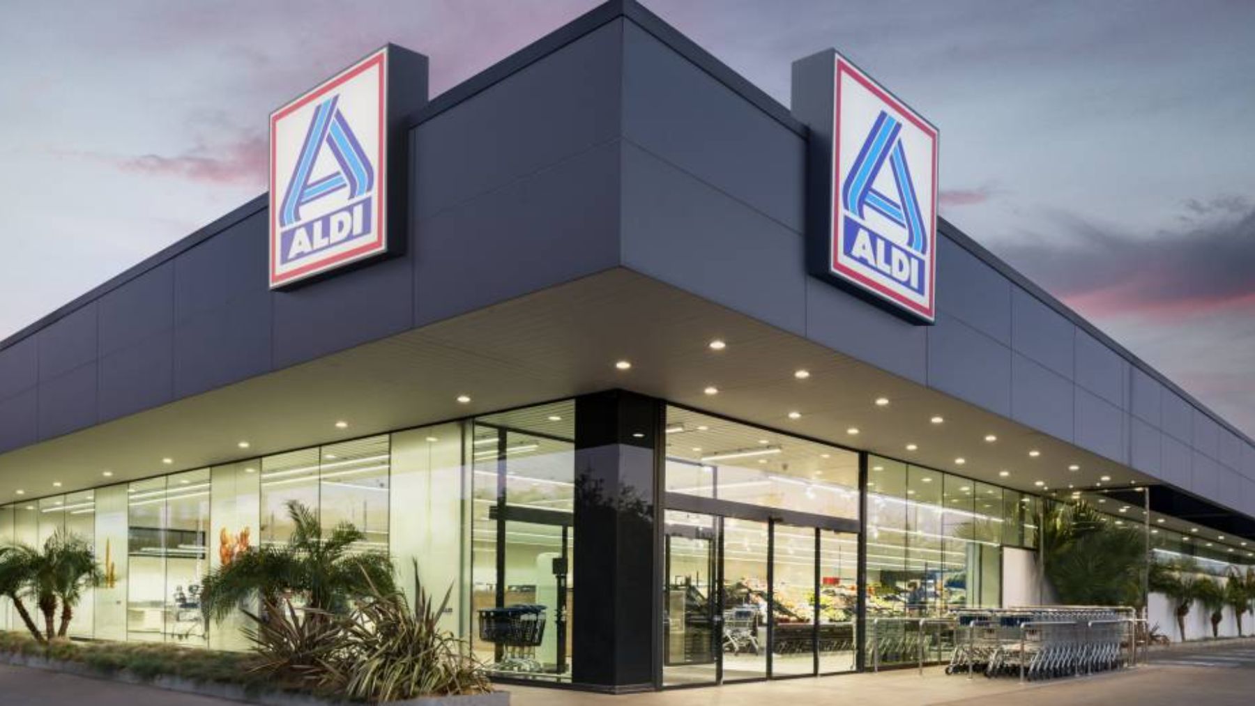 Aldi plato