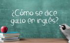 Aprender inglés
