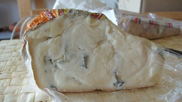 Queso gorgonzola