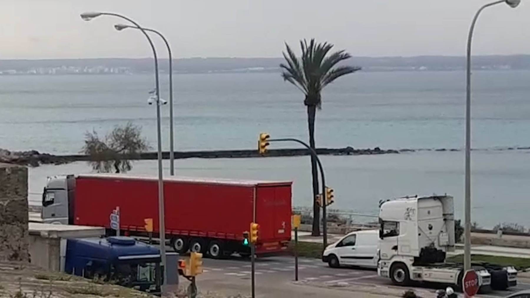 Los camiones han colapsado el Paseo Marítimo de Palma en protesta por la subida del combustible Vídeo: S. FONT