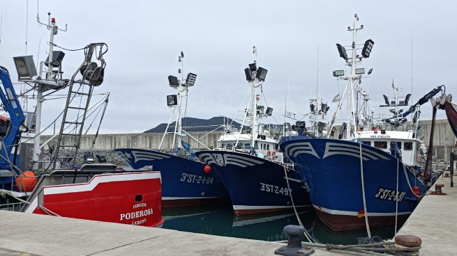 pescadores toneladas