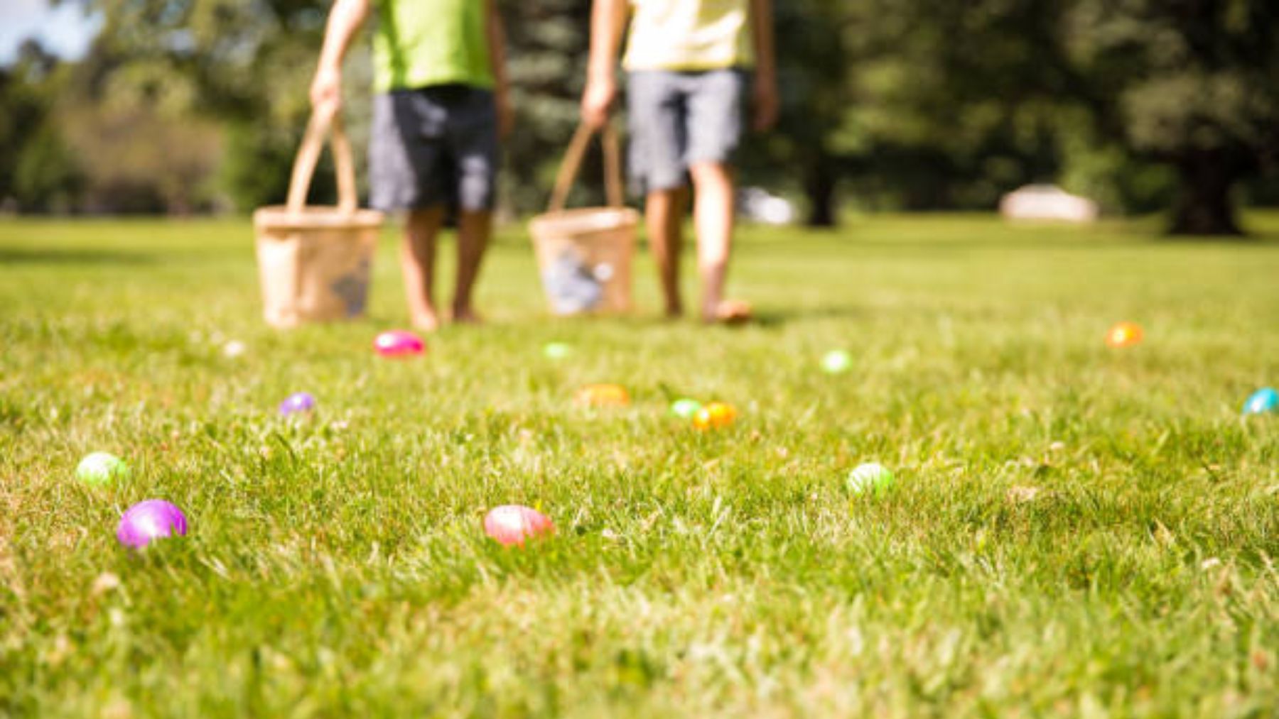 Ideas divertidas para organizar una búsqueda de huevos de Pascua con los niños