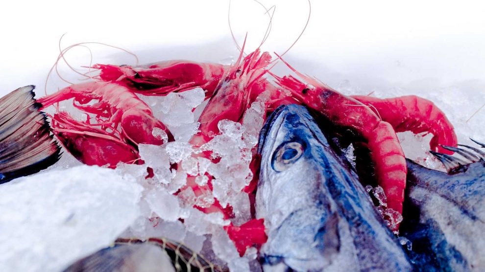 Sigue este truco para que el pescado congelado sepa fresco