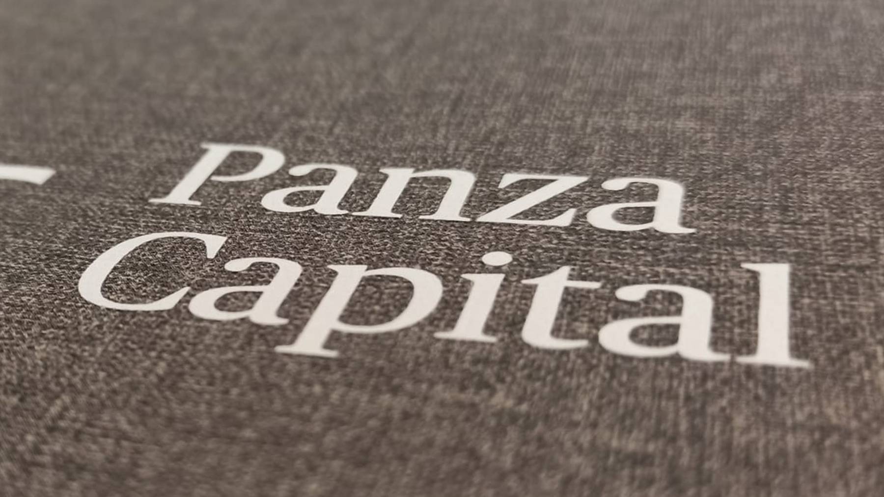 Logo de la gestora Panza Capital.