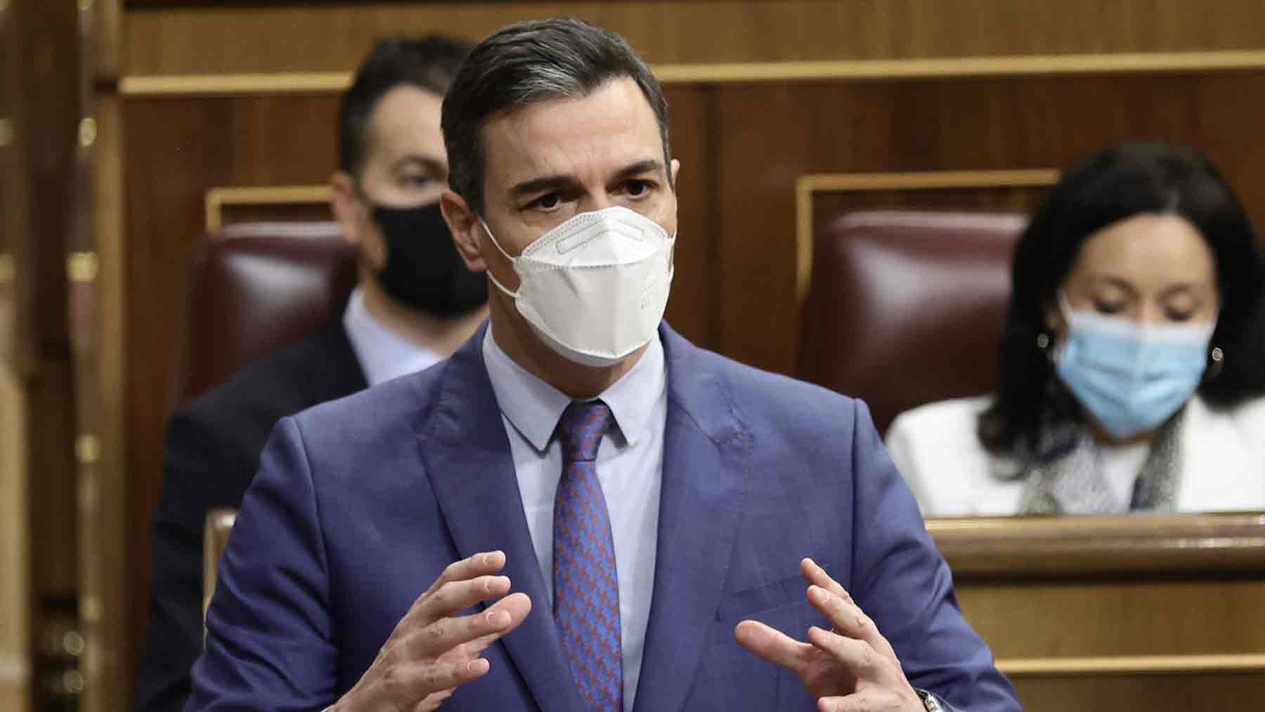Pedro Sánchez, en el Congreso.