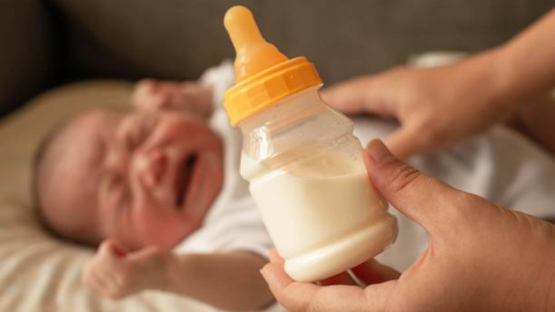 suelo rifle Donación Cuándo dar leche anticólicos a los bebés y cómo elegirla