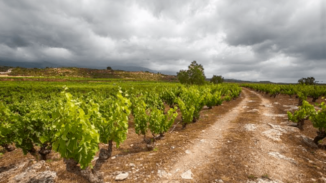 Marqués de Riscal