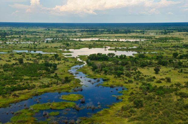 El Delta del río Okavango de Botswana, donde se encontraba el campamento de Juan Carlos I. 