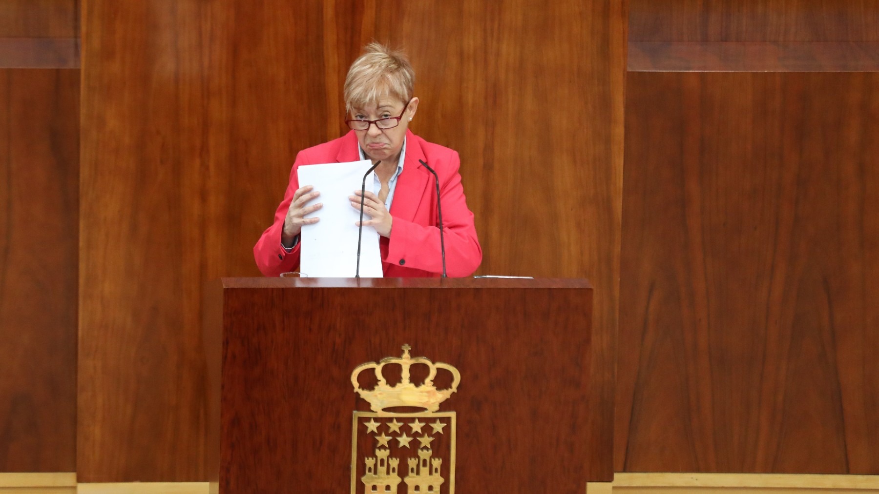 La diputada del PSOE en la Asamblea de Madrid Carmen López.